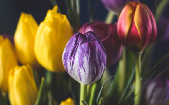 Яке свято відзначають українці 8 березня: народні прикмети і традиції