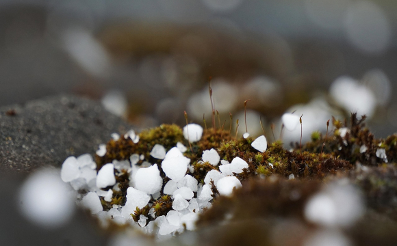 На Волині випав град посеред травня