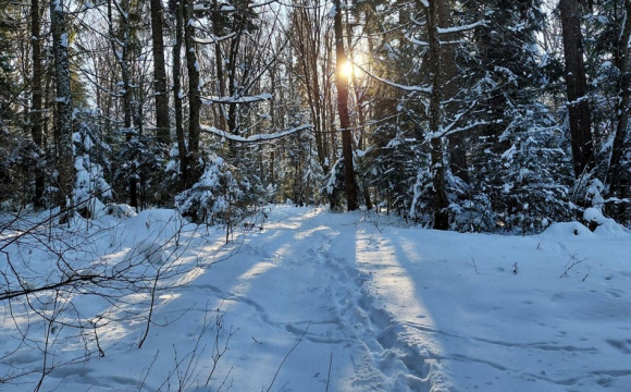 Що треба зробити ввечері 13 січня, щоб рік був щедрим