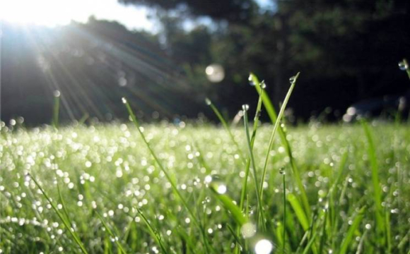 Синоптики розповіли, якою буде погода в Україні до кінця липня