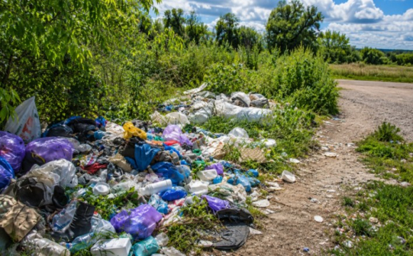 До 10 років в'язниці за сміття: які зміни пропонують депутати