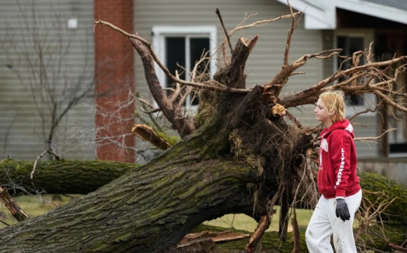 Потежні торнадо знищили будинки та вирвали дерева: є постраждалі