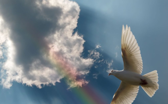 14 травня - Преполовение П'ятидесятниці: категоричні заборони на сьогодні