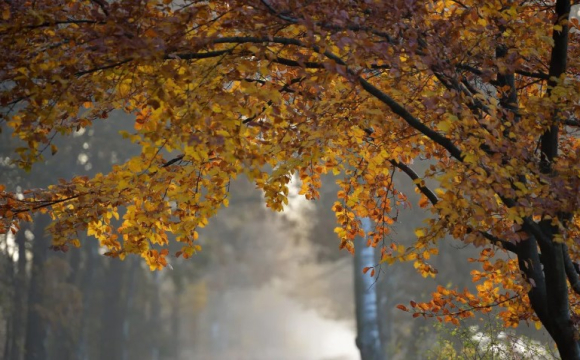 Парасолі та теплі куртки: прогноз погоди на Волині та в Луцьку на 4 і 5 жовтня