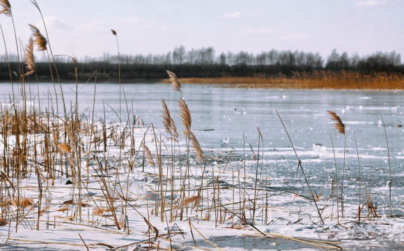 До України повернеться справжня зима