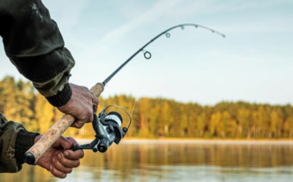 На Волині вводять заборону на вилов риби з 1 листопада