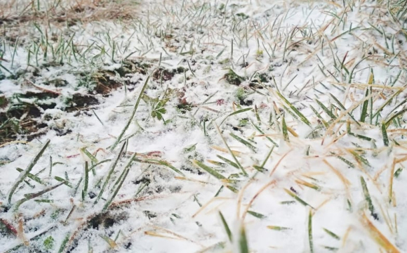 Коли в Україні випаде перший сніг