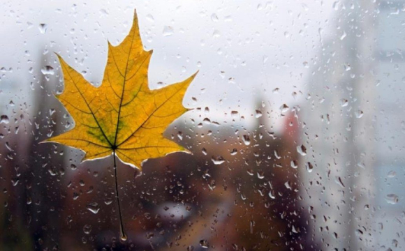 Синоптики розповіли, якою буде погода в Україні на вихідних