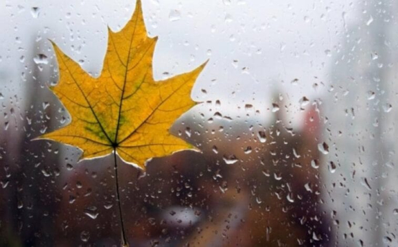 Якою буде погода в Україні в останній тиждень листопада