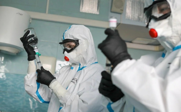 На заході України спахнула африканська чума: яка область у небезпеці