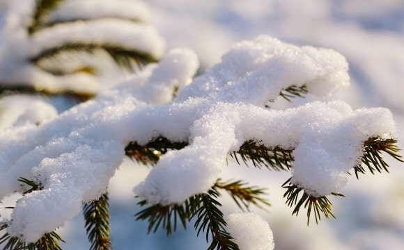 Мокрий сніг та сильний вітер накриють Україну на вихідних