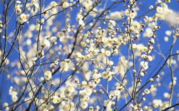 Стало відомо, чи потеплішає в Україні на вихідних