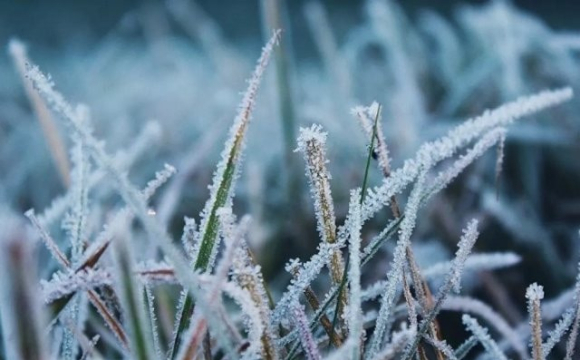 В Україні може випасти сніг вже найближчим часом