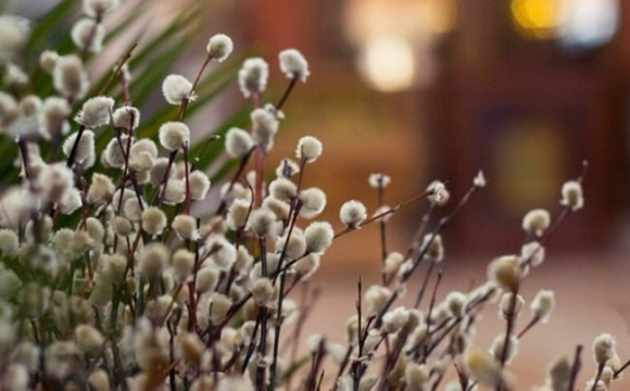 Весна набирає обертів: якою буде погода в Україні на вихідних