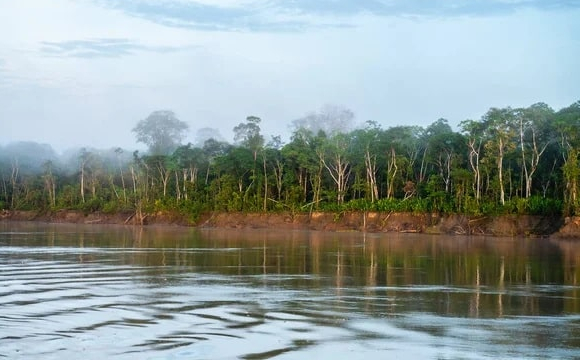 Біля річки крокодил роздер дитину на очах у матері