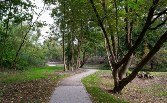 Львів'ян закликали не гуляти у парках: у чому причина