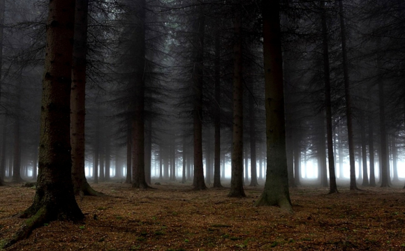 У народі існує цікаве повір'я цього дня: що треба зробити 31 жовтня