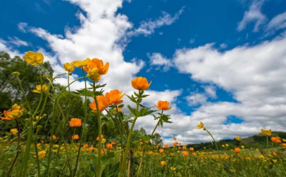 Яке свято відзначають українці 9 серпня: народні прикмети і традиції