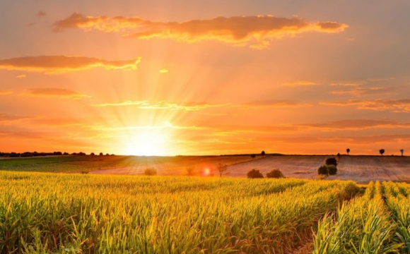 Несподівана винагорода: гороскоп на 1 вересня для всіх знаків Зодіаку