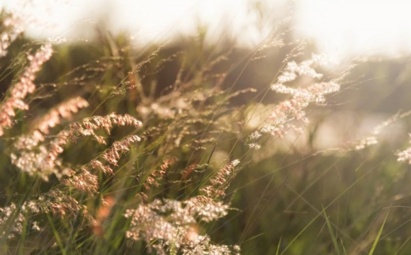 З днем пов'язані особливі церковні заборони: яке свято 5 вересня