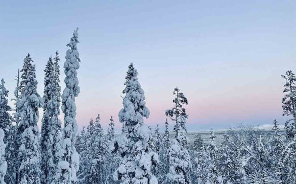 Що принесе останній день зими: гороскоп на 28 лютого для всіх знаків Зодіаку