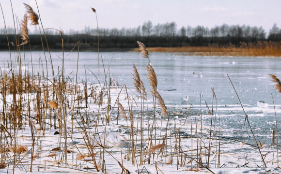 На заході України зросте рівень води в річках: чи є загроза