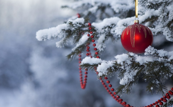 У місті на заході України не будуть ставити новорічну ялинку