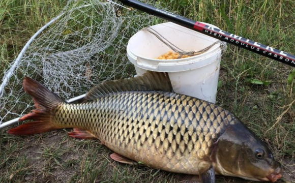 На Волині чоловік нарибалив на півмільйонний штраф: деталі