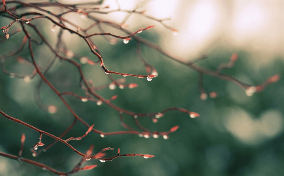 Похолодання і дощі накриють Україну